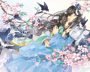 芒果视频永久回家入口